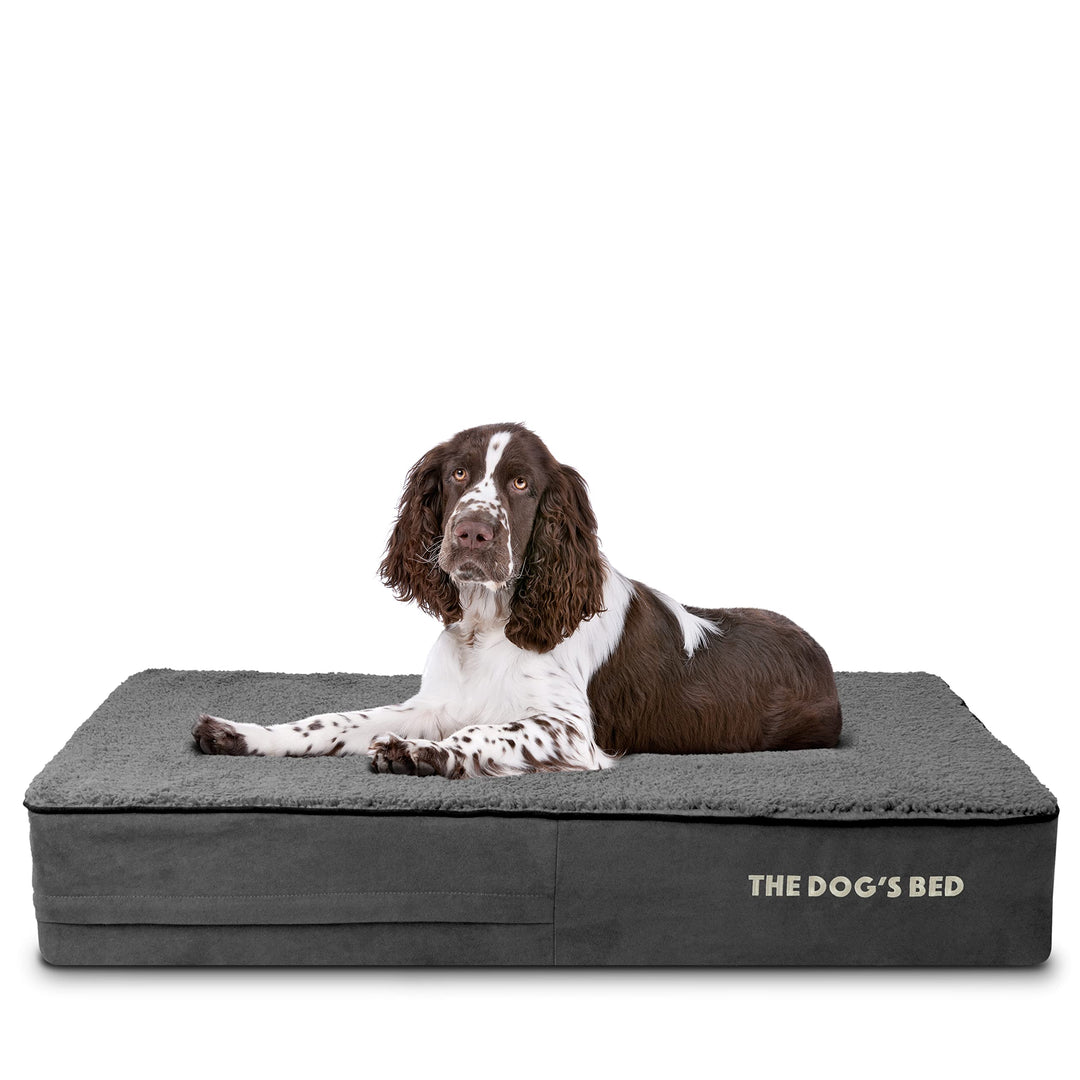 Large grey plush orthopaedic memory foam dog bed