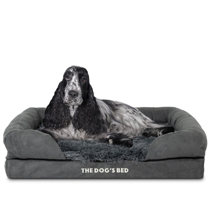 Medium plush orthopaedic memory foam dog bed with waterproof cover