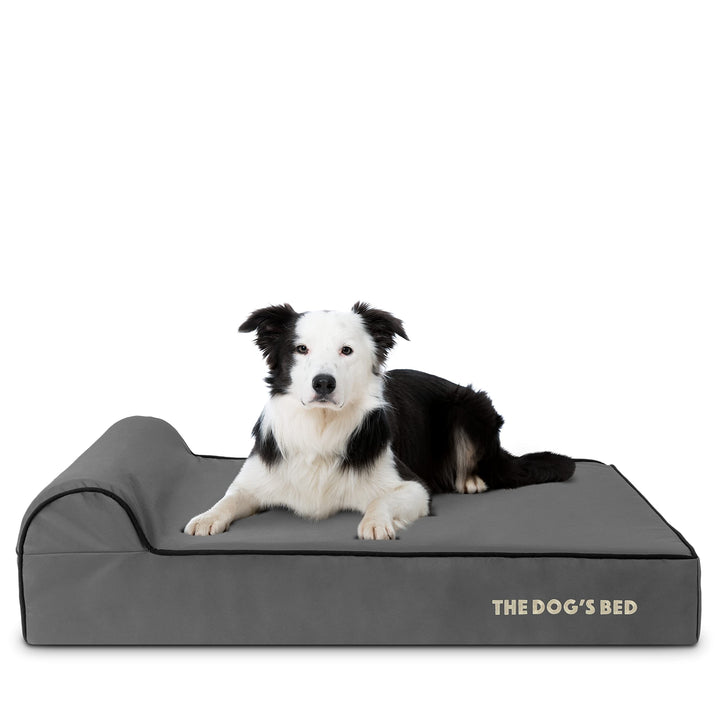 Orthopaedic dog bed in grey with black trim
