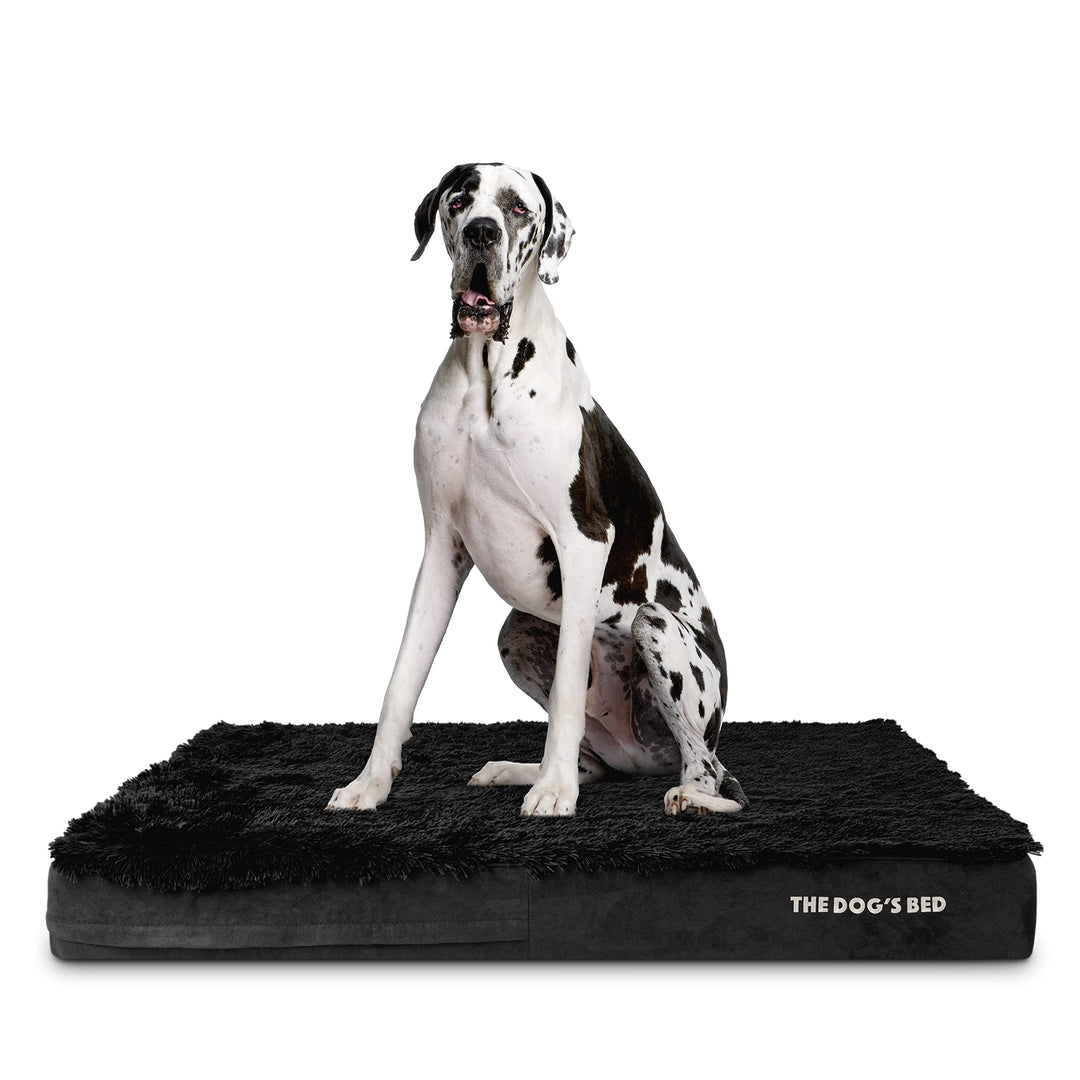 Orthopaedic memory foam pet bed in black faux fur