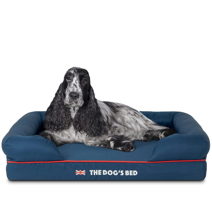 Medium orthopaedic dog bed with blue colour and red trim