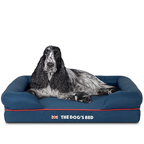 Orthopaedic Memory Foam Dog Bed - Medium Blue with Red Trim