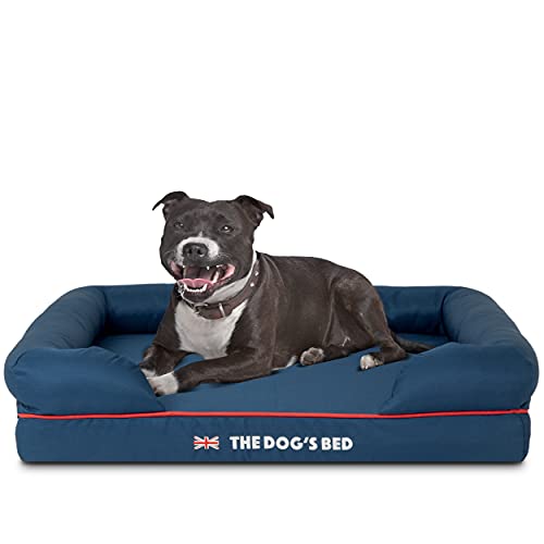Orthopaedic Memory Foam Dog Bed - Medium Blue with Red Trim