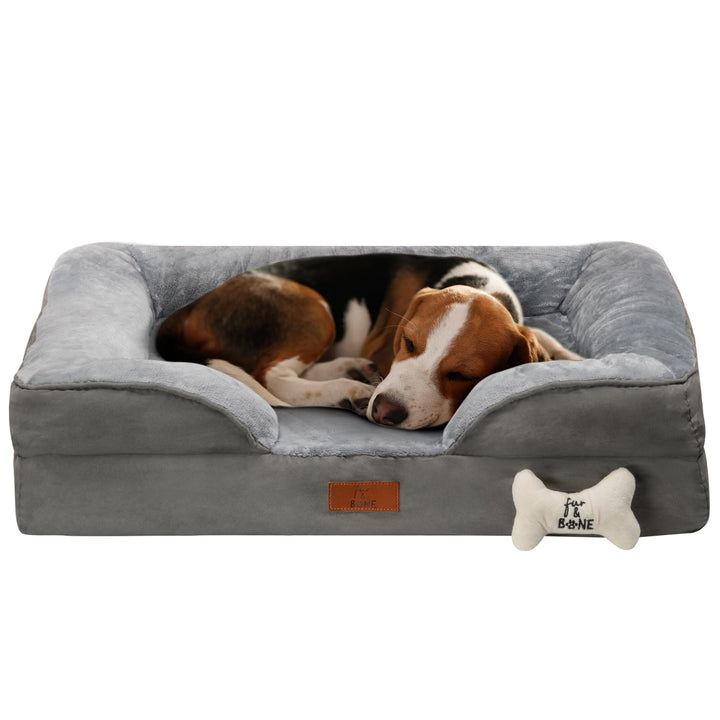 Medium dog bed with soft cushion and orthopedic support