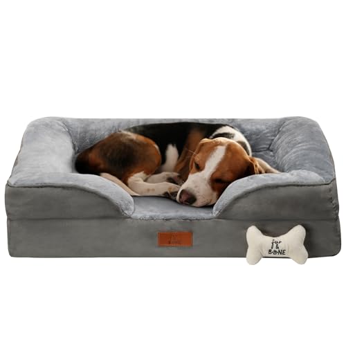 Medium Dog Bed - Soft Cushion, Orthopedic Support, Removable Cover