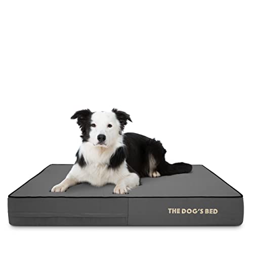 Orthopaedic Memory Foam Dog Bed - Grey Oxford with Black Trim - Large