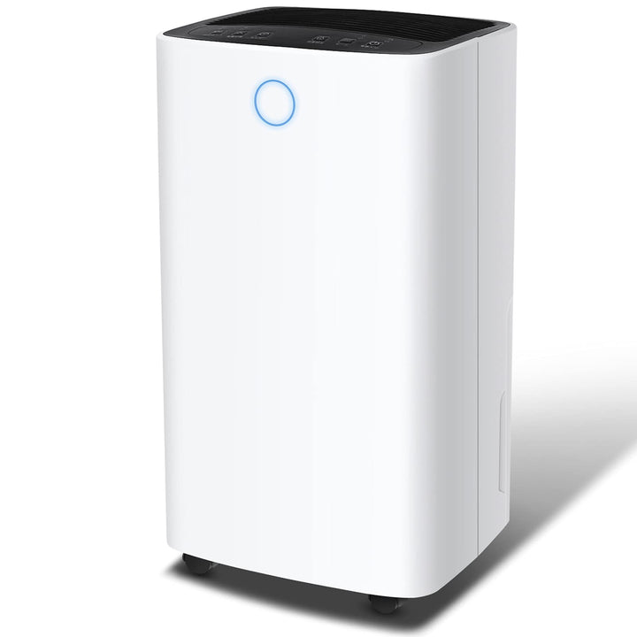 Dehumidifier with humidity control and 2L tank