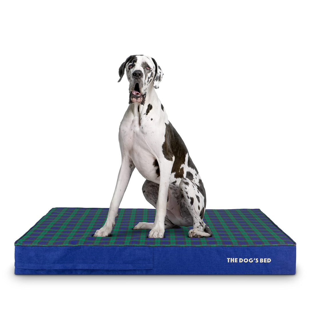 Orthopaedic dog bed in black watch oxford tartan