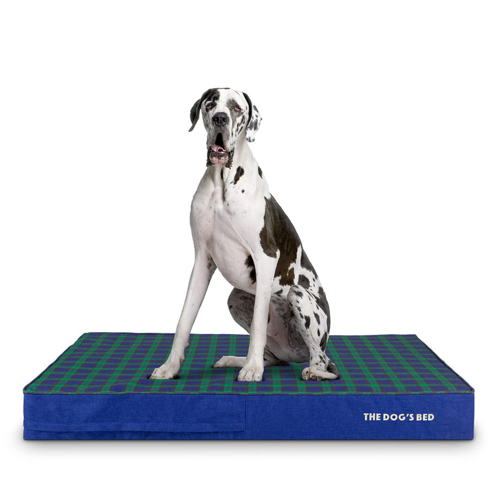 Orthopaedic dog bed in black watch oxford tartan