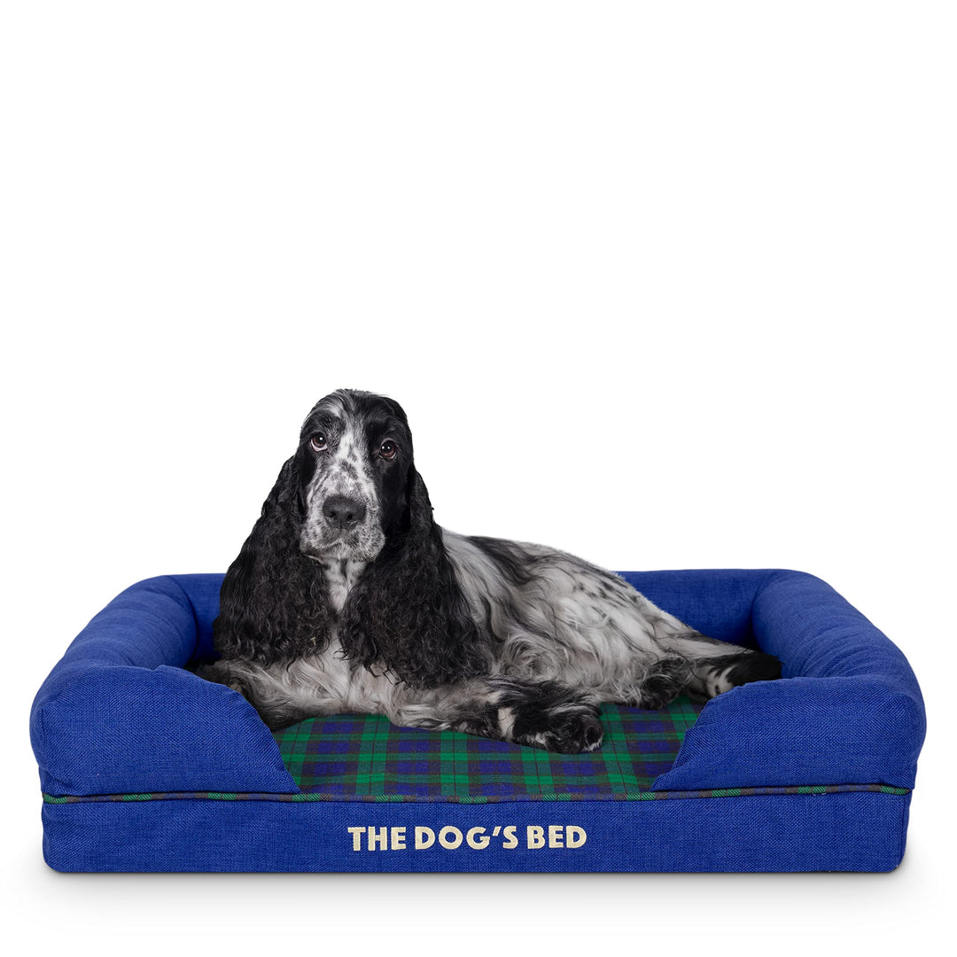 Orthopaedic memory foam dog bed in black watch tartan