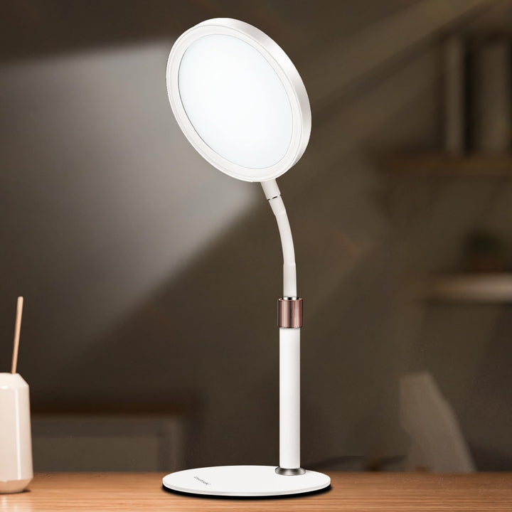 SAD lamp with adjustable brightness and timer