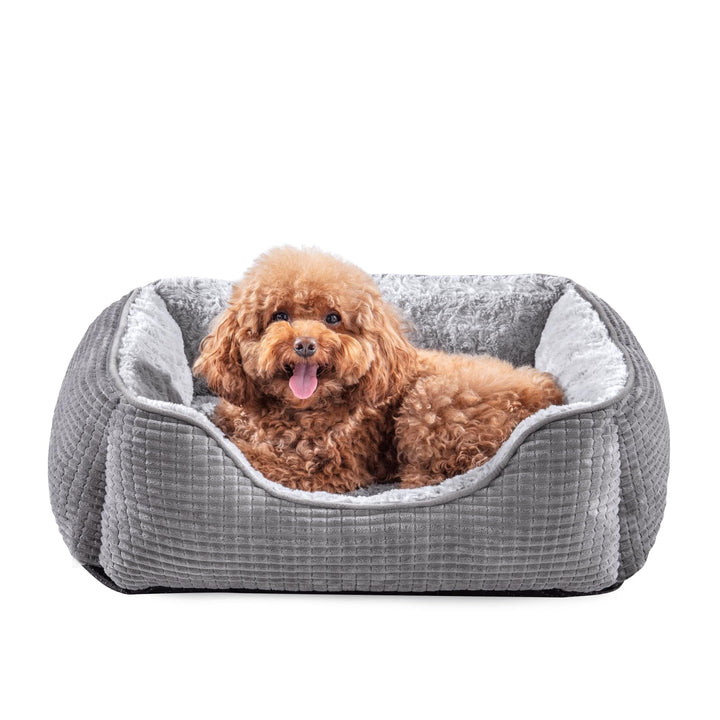Medium dog bed with calming design and raised edges in soft grey velvet