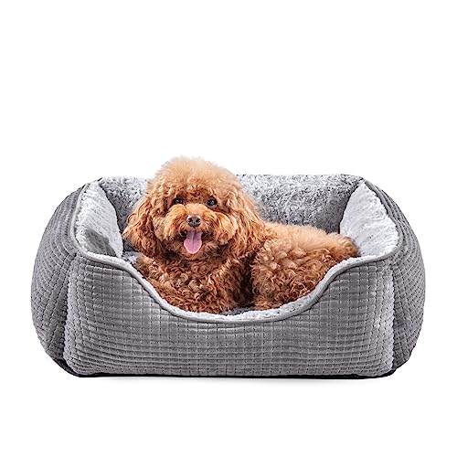 Medium Dog Bed - Orthopedic Calming Design with Raised Edges - Soft Grey Velvet - 63x53x21 cm