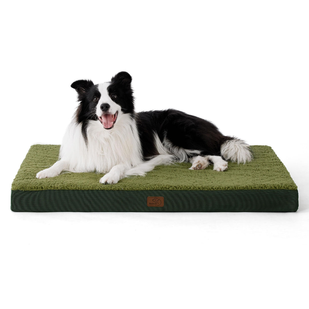 Large orthopedic dog bed with removable sherpa cover in dark green