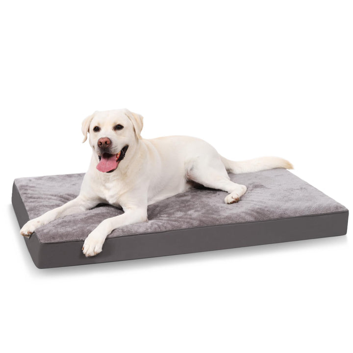 Large grey orthopedic dog bed with removable cover