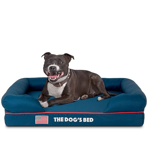 Orthopaedic Memory Foam Dog Bed - Medium Blue with Red Trim