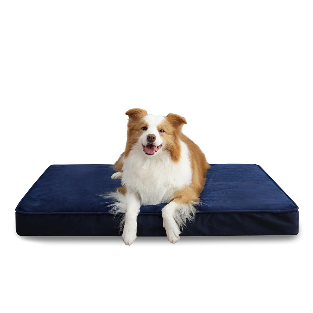 Extra large orthopedic dog bed with waterproof cover in blue