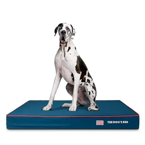 Orthopaedic Memory Foam Dog Bed - Blue with Red Trim - XXL