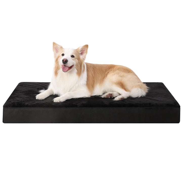 Orthopedic dog bed with removable cover in black