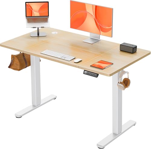 Electric Standing Desk 120x60cm Height Adjustable with 4 Memory Panel