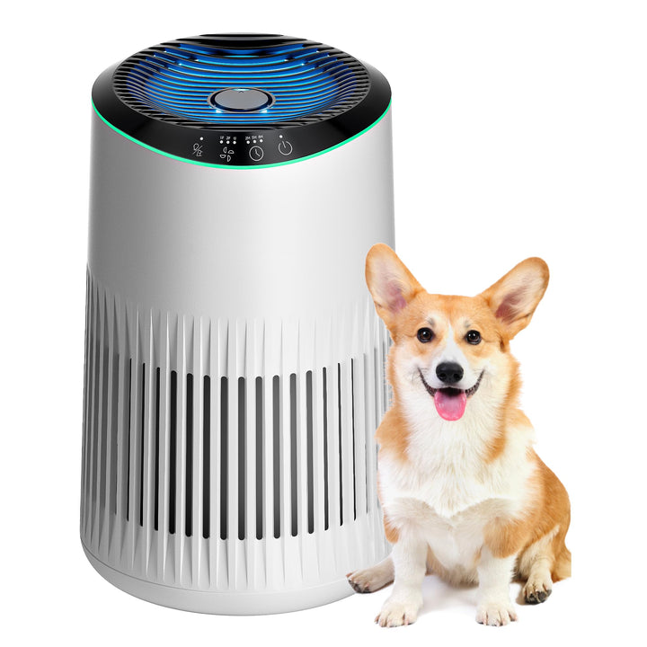 Air purifier MR2566 in white with fragrance sponge