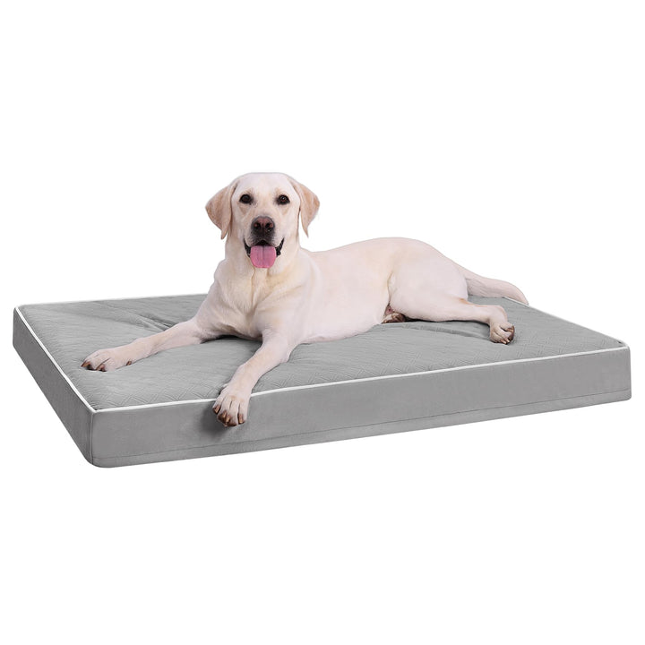Orthopedic dog bed in grey with removable cover