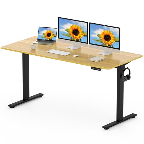 FlexiSpot Electric Standing Desk 160x80cm with Height Adjustment and Memory Panel