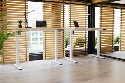 FlexiSpot Electric Height Adjustable Sit Stand Desk - Maple Finish - Ergonomic Workspace Solution