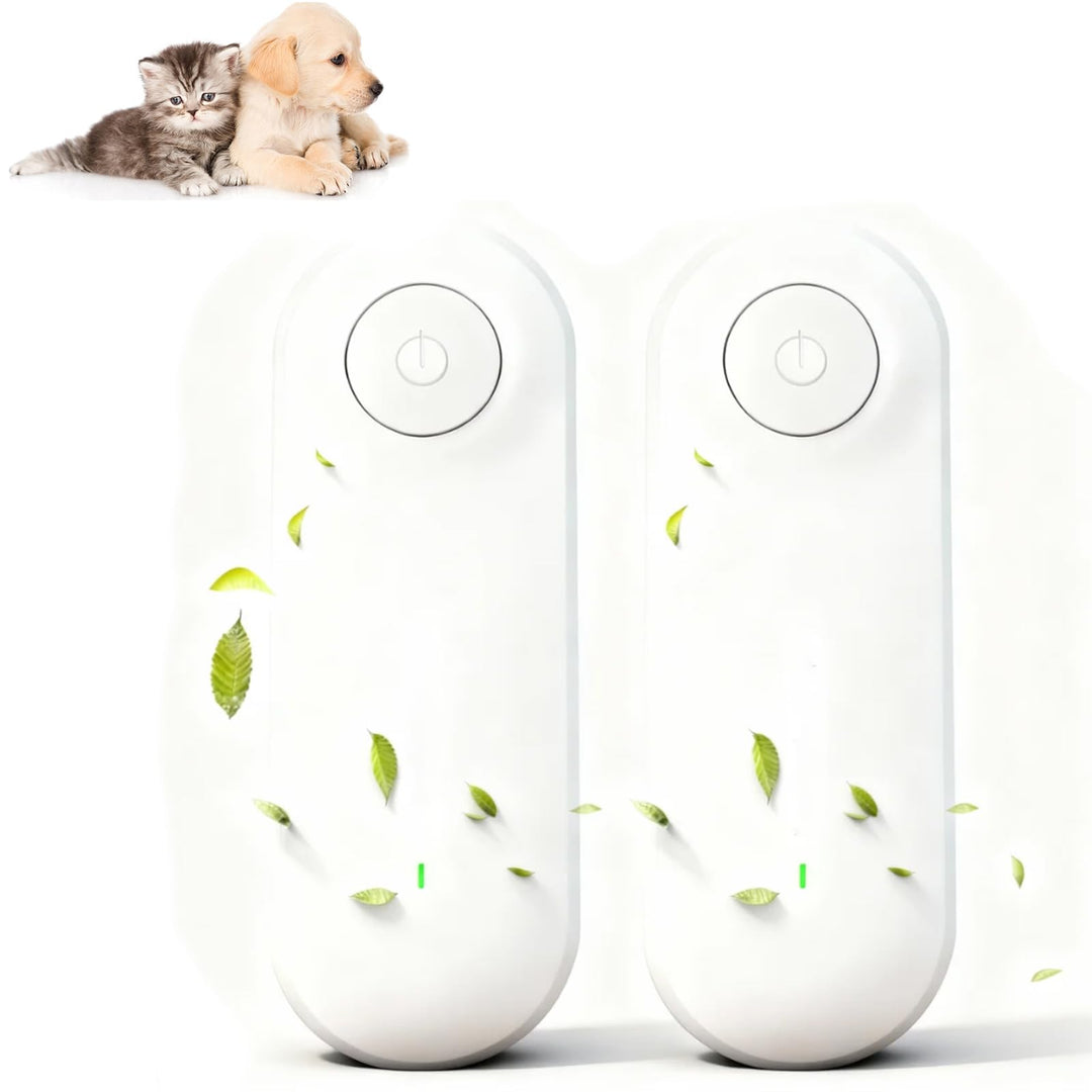 Ion air purifier plug-in for home with mini design and quiet operation